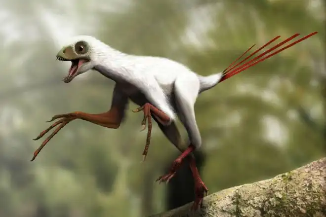 Самые необычные динозавры древнего мира