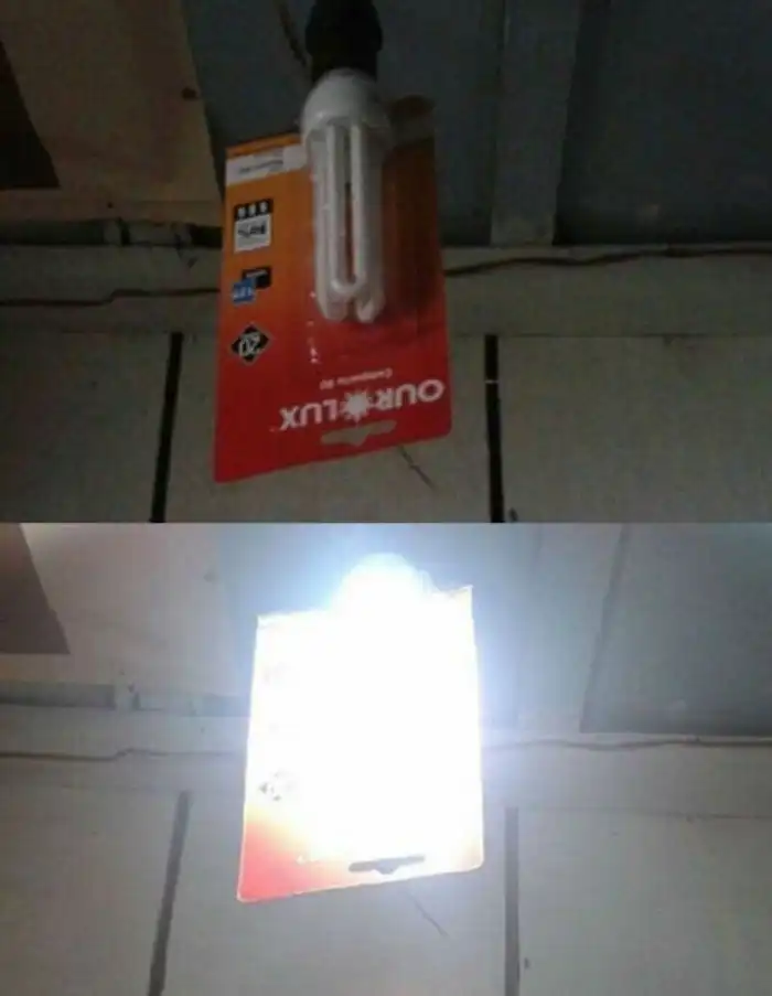 15 самых ленивых людей в мире, которые отвечают за прогресс