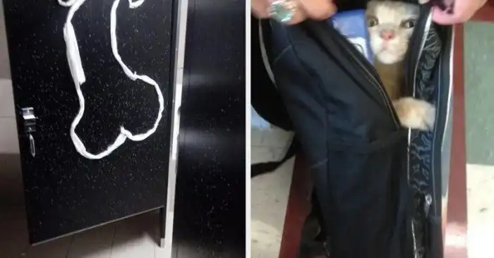 Эти ученики добавили учителям седых волос!