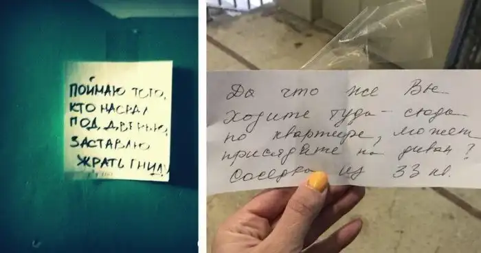 Засранцы и дятлы: соседи, которые портят нашу жизнь