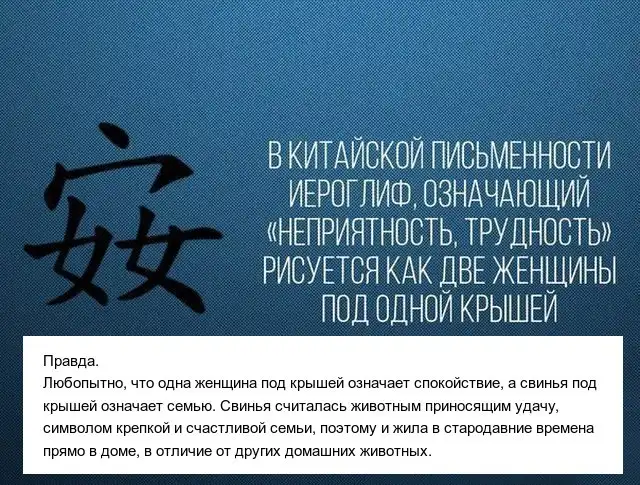 Правда или ложь: факты, которые могут вводить людей в заблуждение