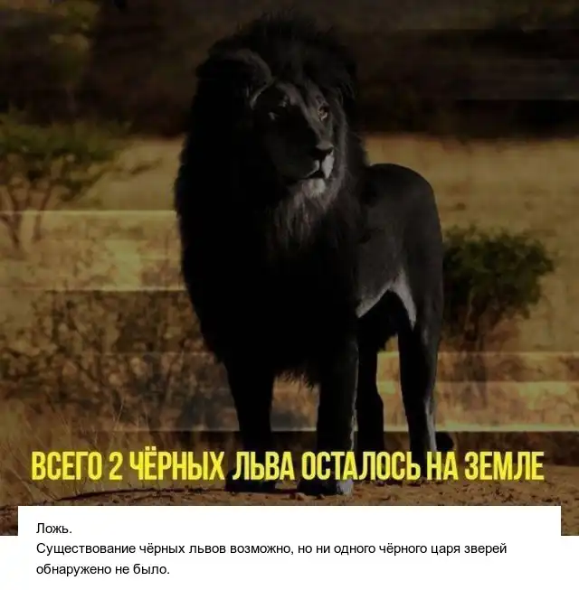 Правда или ложь: факты, которые могут вводить людей в заблуждение