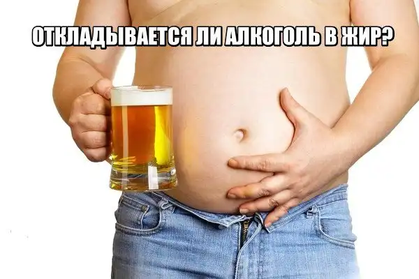 Откладывается ли алкоголь в жир?