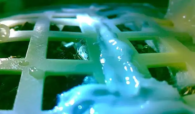 Китайский космический аппарат "Чанъэ-4" провел первый в истории биологический эксперимент на Луне