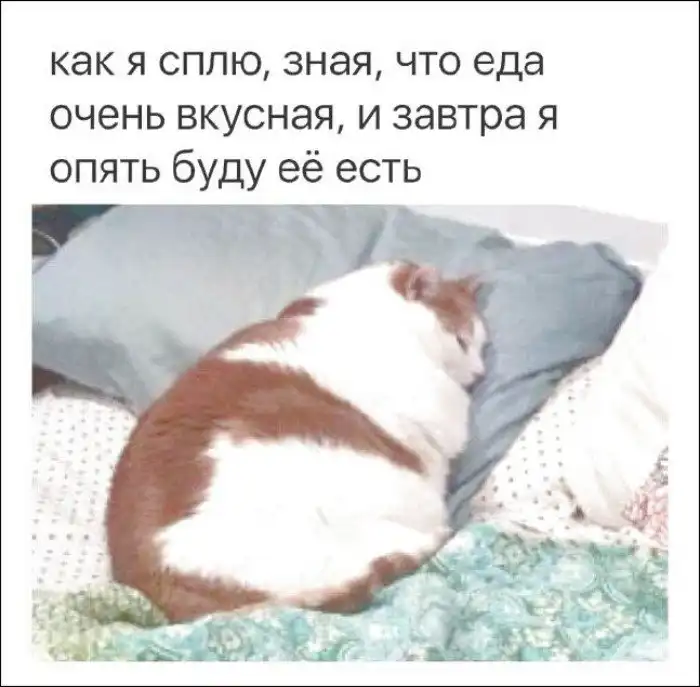 11 русских мемов популярных в США и Британии на английском