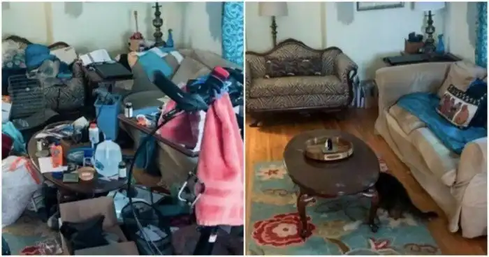 18 вдохновляющих кадров до и после, которые воодушевят на генеральную уборку в квартире