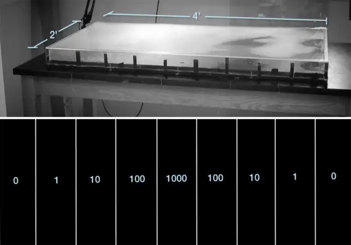 Эволюция в действии: патогены