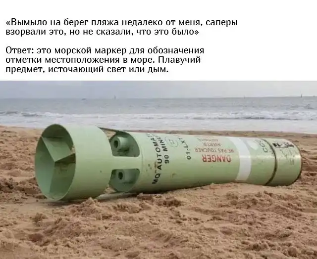 Люди спрашивают у пользователей сети: "Что это такое?"