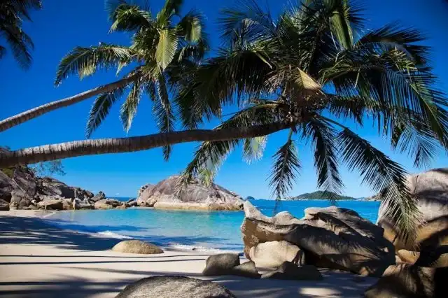 Работа для тех, кто устал от городской суеты