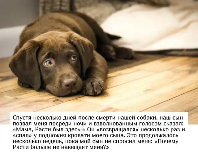 Родители рассказали о пугающих высказываниях своих детей