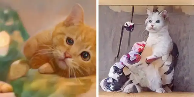 Нейросеть, генерирующая фото котов, не особо справляется с задачей