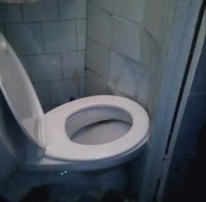 Пост издевательств, который заказали унитазы и их сантехнические братья