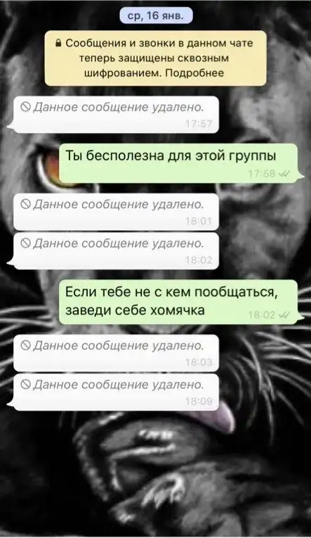 Ссора матерей в детском саду из-за удаления из группы в мессенджере завершилась поножовщиной