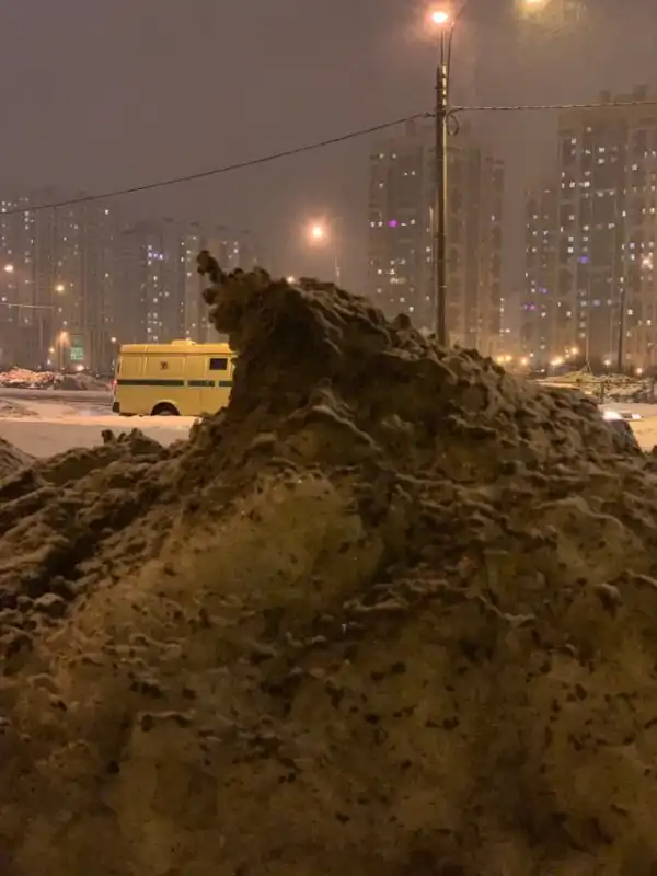 Сугроб в Санкт-Петербурге стал героем фотожаб