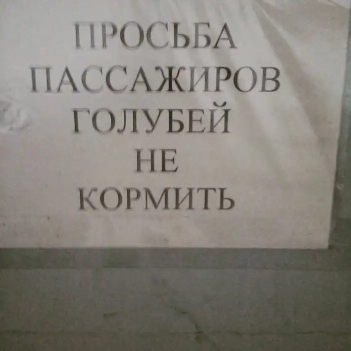 20 забавных объявлений, которые могли придумать только в России