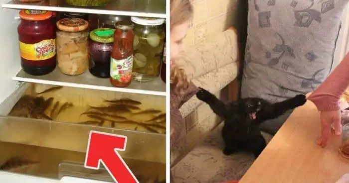 Неожиданные фотографии из серии "Что тут происходит?"