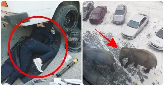 И тут я понял, что мне все равно никто не поверит