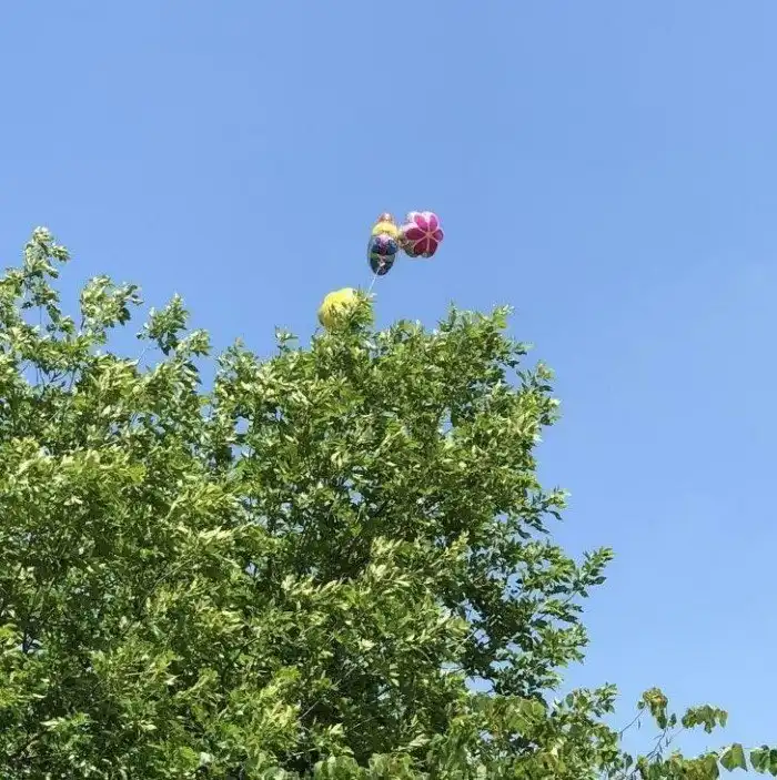 25 раз, когда удача отвернулась от людей и дала им на прощание пинок под зад