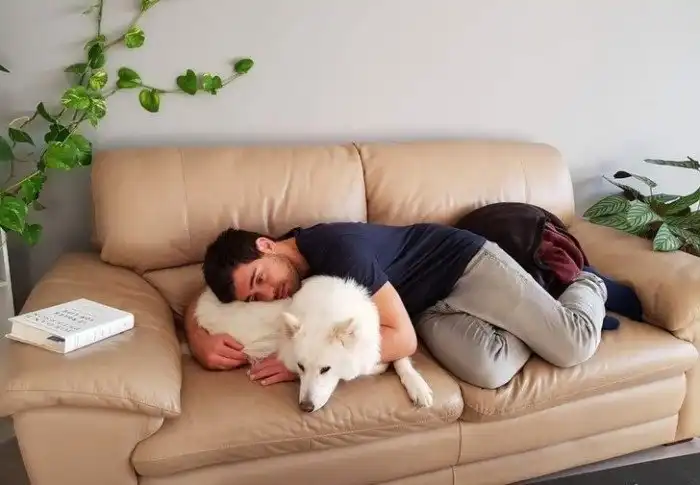 Фотографии, после просмотра которых вам захочется завести питомца