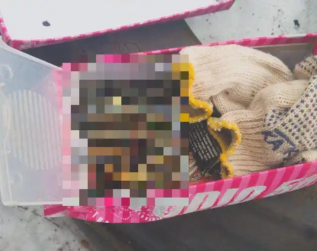 В Подмосковном Раменском дети сделали необычную находку