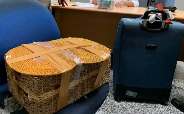 На Бали задержали гражданина РФ, который пытался провезти орангутана в багаже