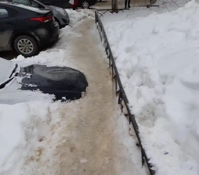 Саратовский "подснежник"