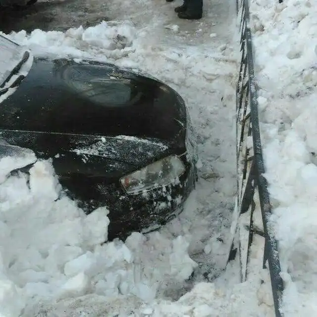 Саратовский "подснежник"