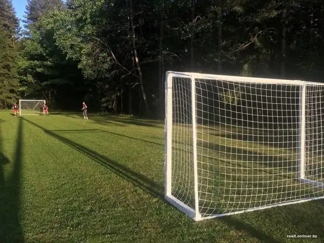 Продолжение истории с футбольным полем в белорусской деревне, которое уничтожили сотрудники лесхоза