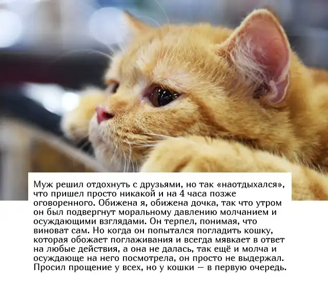 "Люди говорят" в социальных сетях