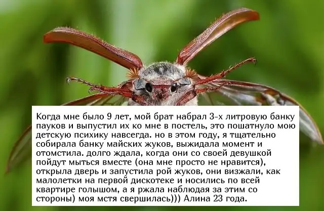 Жизненные истории людей