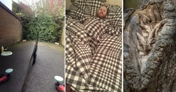 20 показательных выступлений от гениев маскировки