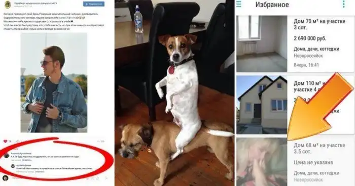 20 убойных ситуаций, в которых люди и животные спалились по полной программе