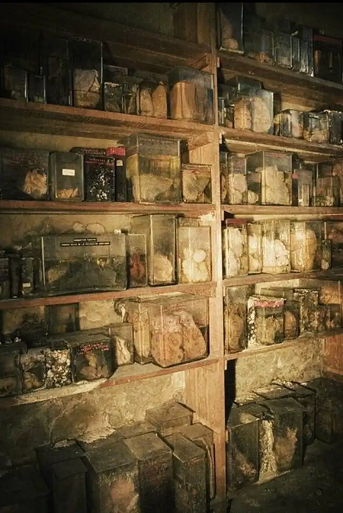 20 жутких заброшенных мест, навевающих ужас