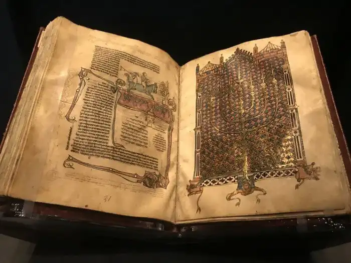 Домашний тлен: токсины черной плесени.