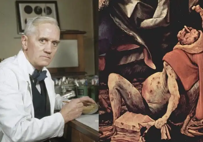 Домашний тлен: токсины черной плесени.