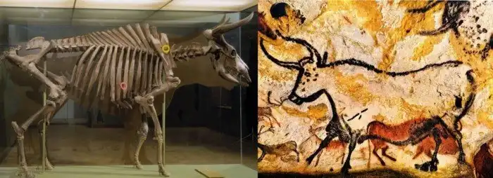 Молоко: пастеризация, туберкулез и болезни ЖКТ.