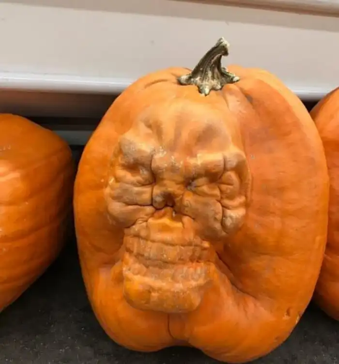 Это не специально, оно само получилось!