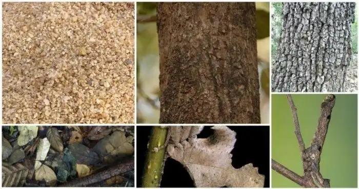 25 фото для людей, носящих звание "Самый зоркий глаз"