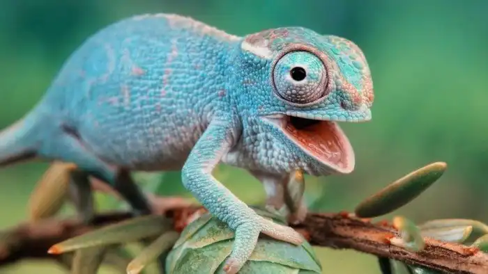 Самые распространённые научные мифы: почему мы до сих пор верим в это?