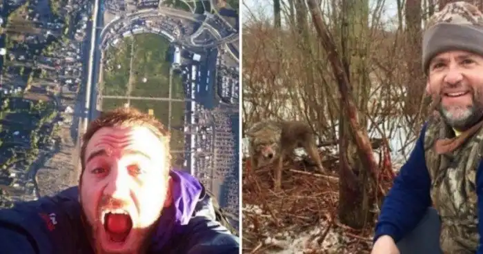 15 чудиков, которые сделали совершенно "безмозглые" селфи