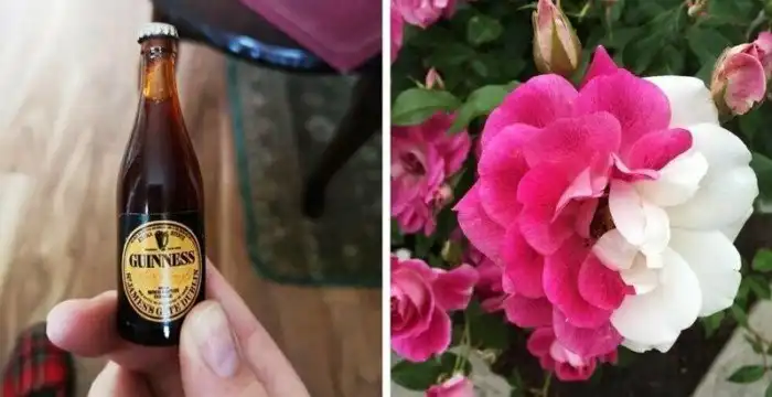 17 снимков от людей, которым чертовски повезло с их неожиданными находками