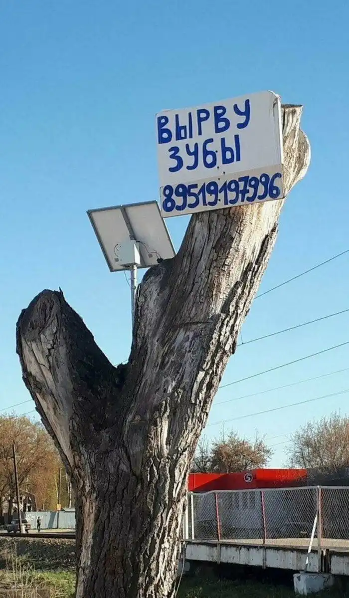 Неподражаемая Россия-матушка в забавных фотографиях