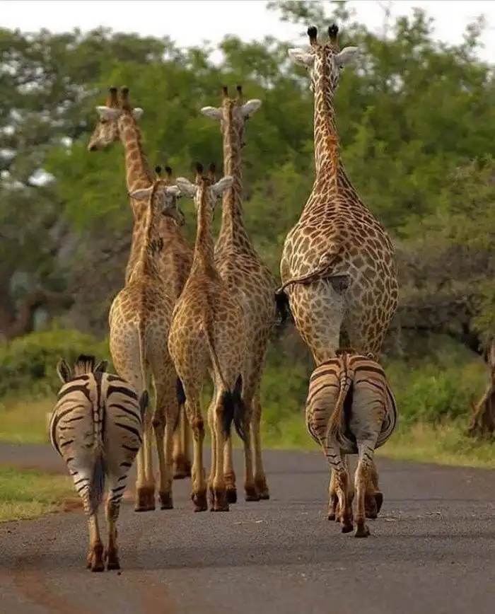 25 фото, по которым без труда можно угадать пол их создателя