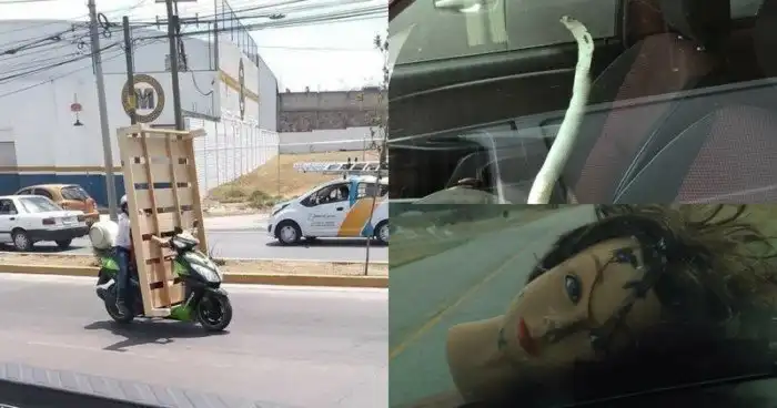 20 невероятных ситуаций, с которыми автомобилисты столкнулись на дороге