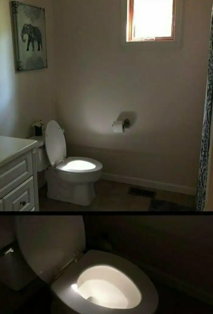 17 забавных кадров, совершенно случайно сделанных в нужный момент