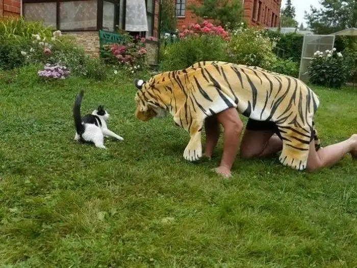 Когда хозяин слегка идиот