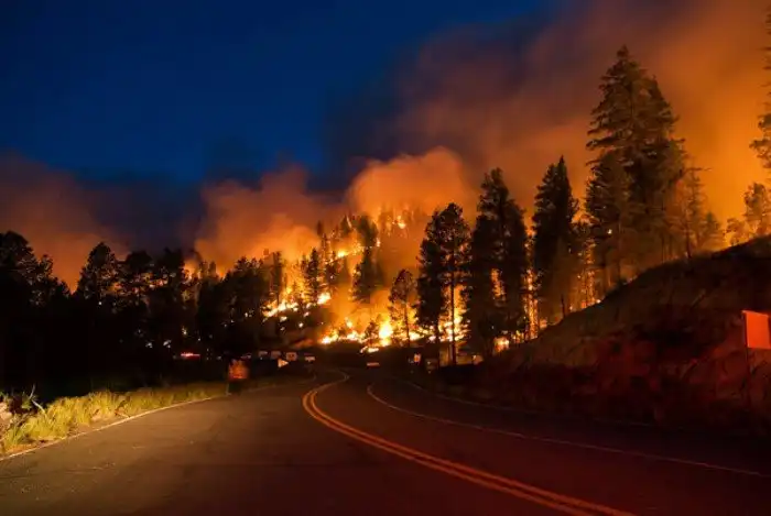 5 страшных катастроф 21 века