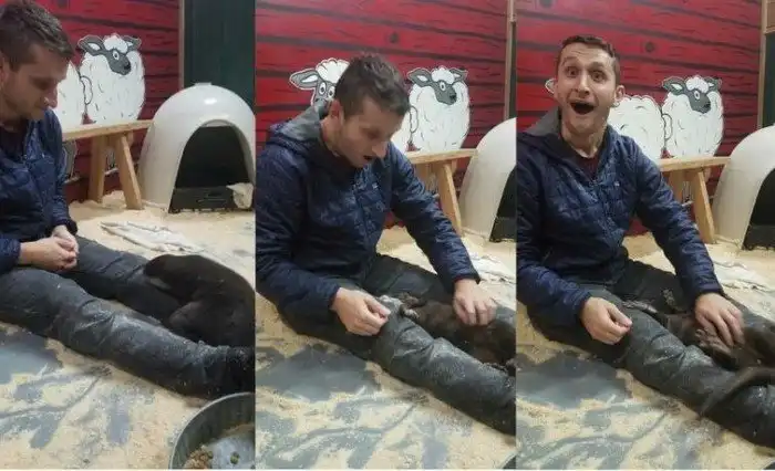 20 хороших вещей, которые произошли с людьми, и они поделились своей радостью с миром