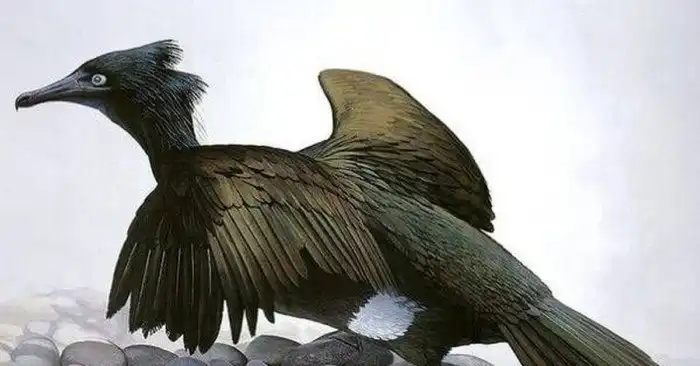 Проклятье Стеллера: Почему виды гибнут после их открытия?