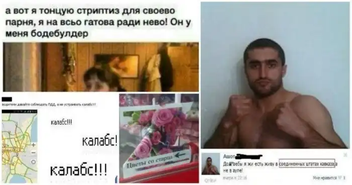 Калабс вбасей это гиноцыт митистов и озабоченный брезентовый ошейник